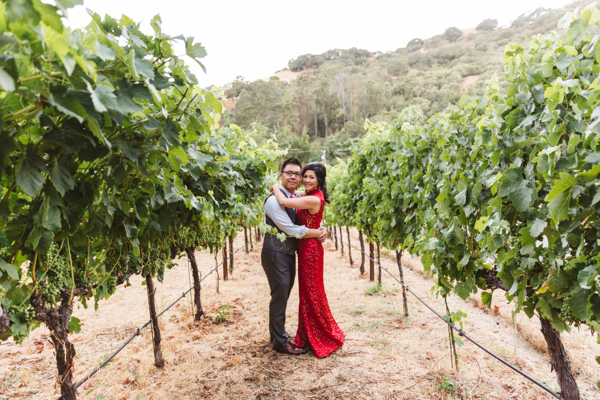 What's the average price for wedding photography in the SF Bay Area | Couple standing in the vines at Elliston Vineyards wedding | Zoe Larkin Photography