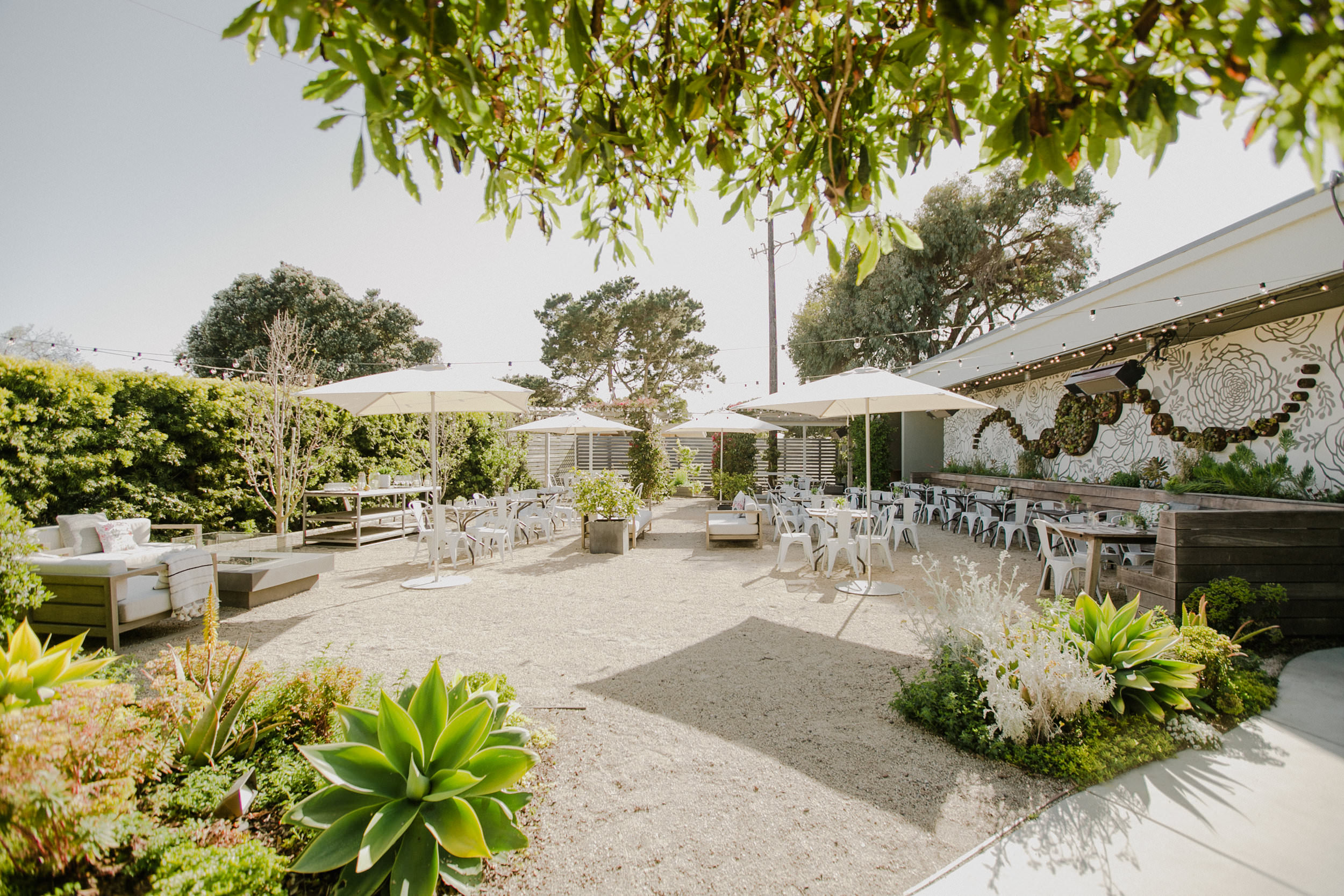 This Couple's Fun Wedding Was Held at a Historic Venue in San